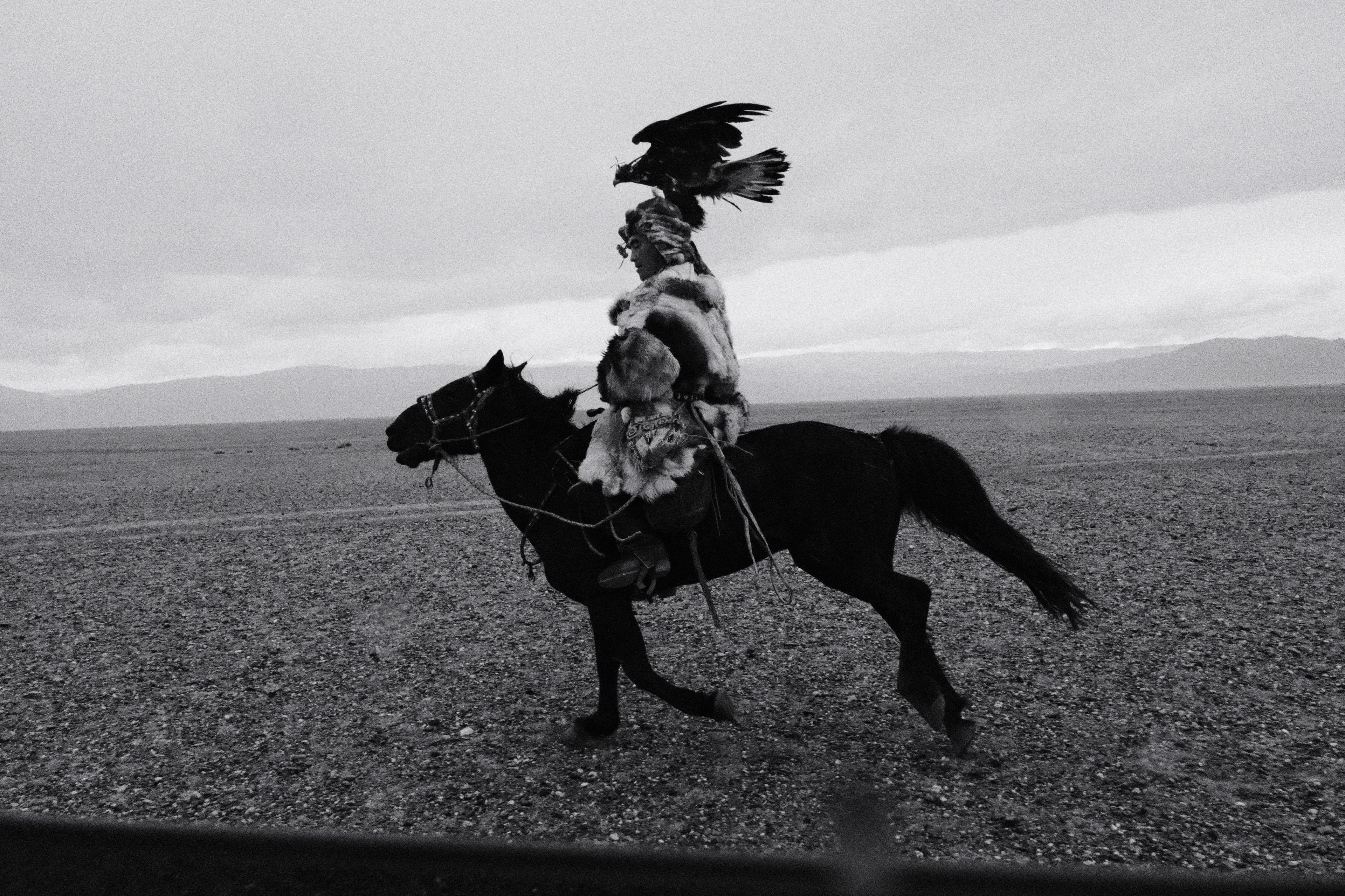 Learning from the Nomads