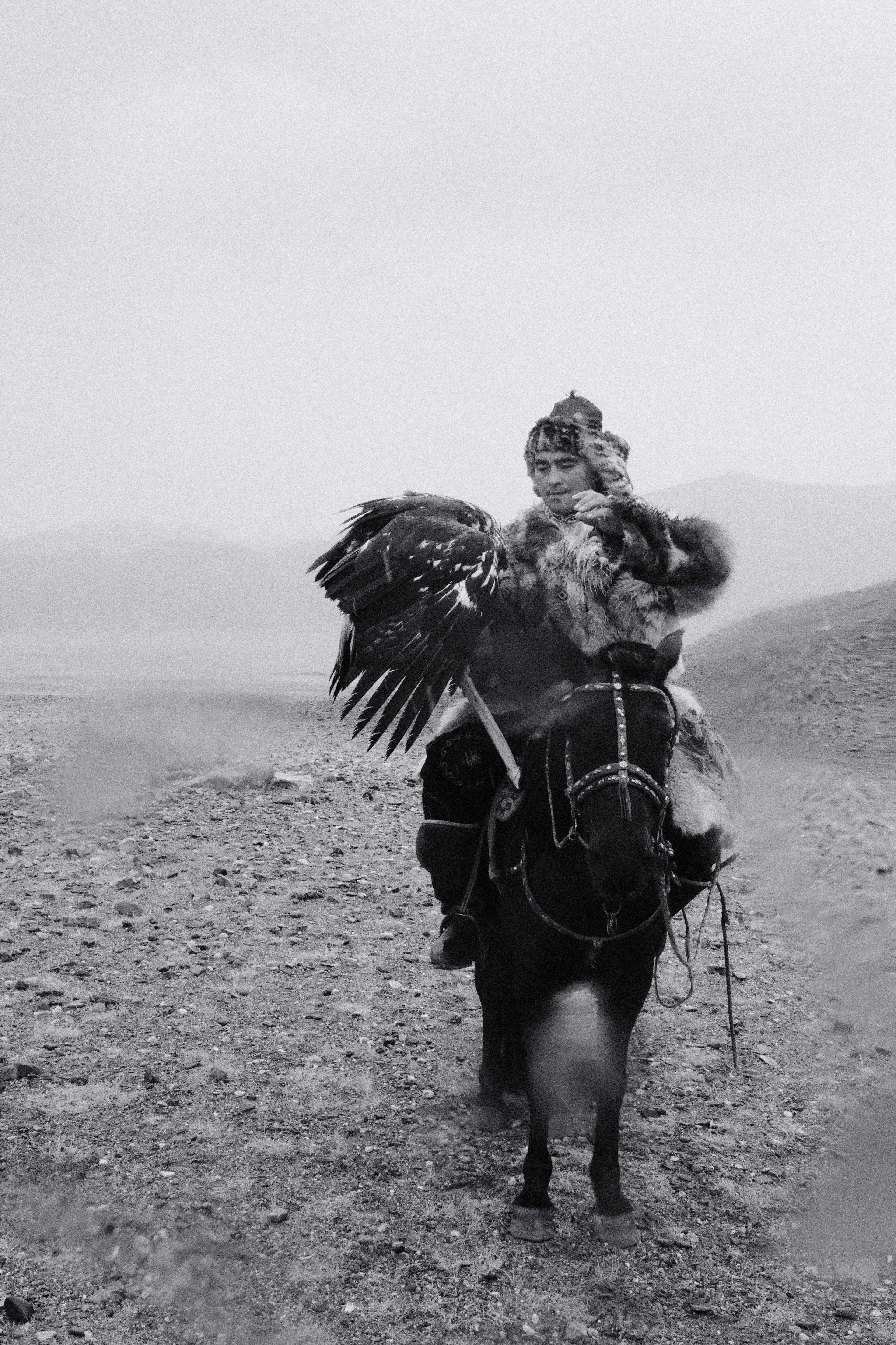 Eagle hunter releasing eagle